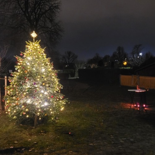 1. Paradiesisches Weihnachtsbaumschmücken